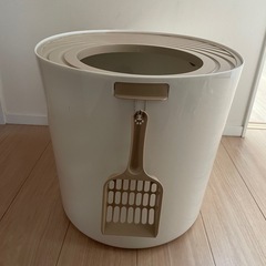 上から猫トイレ　の画像