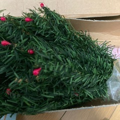 サンタクロース クリスマスツリー セットの画像