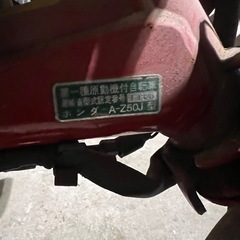 ホンダモンキー30周年記念モデル現状の画像