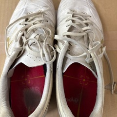 アシックス　サッカーシューズDS LIGHT 27.5の画像