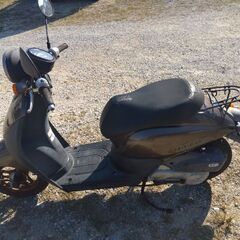 AF67トゥデイの画像