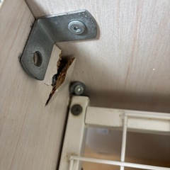 ニトリ　システムベットの画像