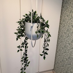 差し上げます！　ハンギングポット・フェイク植物付きの画像