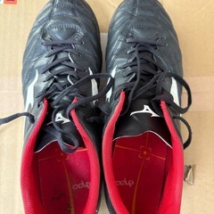 サッカートレーニングシューズ　ミズノ　28.0の画像