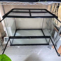 爬虫類 ケージ　GEX グラステラリウム 6045の画像