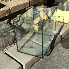 ガラスのすいそ水槽の画像