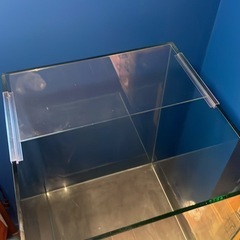 ※お取引中※🙏【無料】大型水槽　臭いなし！アクアリウムなどに　　の画像