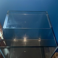 ※お取引中※🙏【無料】大型水槽　臭いなし！アクアリウムなどに　　の画像