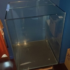 ※お取引中※🙏【無料】大型水槽　臭いなし！アクアリウムなどに　　の画像