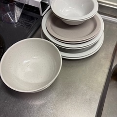 ニトリ　カルエクレシリーズのお皿各種2枚&丼(バラ売りあり)　の画像