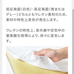 トゥルースリーパーの画像