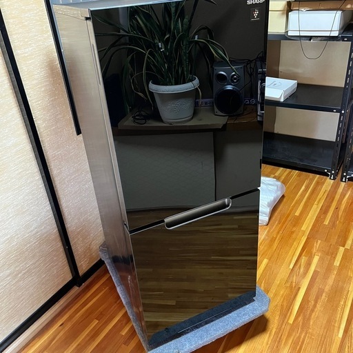 SHARP 冷蔵庫　152L 2024年製