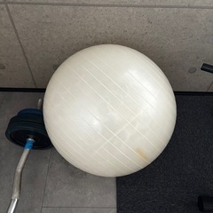 バランスボールの画像