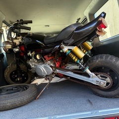 モンキーの画像