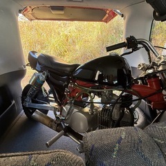 モンキーの画像