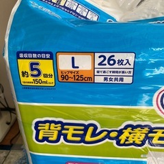 紙オムツ　テープ式　　Lサイズ　使いかけの画像