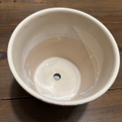 花柄鉢の画像