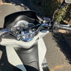 HONDA  PCX125-2型JF56-1007202‼️ワンオーナー美車🍄の画像