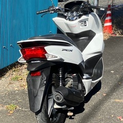 HONDA  PCX125-2型JF56-1007202‼️ワンオーナー美車🍄の画像