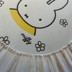 トランポリンの画像