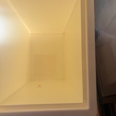 衣装ケースとゴミ箱の画像