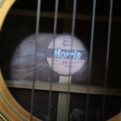 モーリスアコギの画像