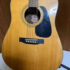 モーリスアコギの画像