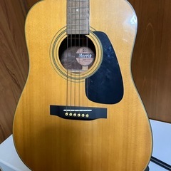 モーリスアコギの画像