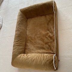 わんちゃん用ソファーの画像