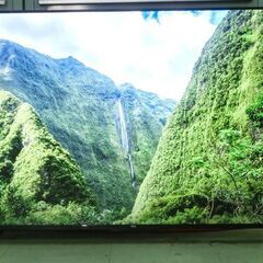 ２０２４年製　チューナーレス　Ｇoogle　ＴＶ　５０インチ　ＴＣＬの　５０Ｐ６３Ｊの画像