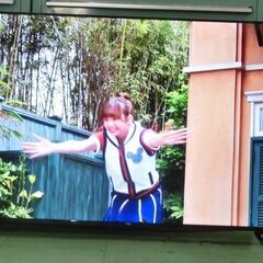 ２０２４年製　チューナーレス　Ｇoogle　ＴＶ　５０インチ　ＴＣＬの　５０Ｐ６３Ｊの画像