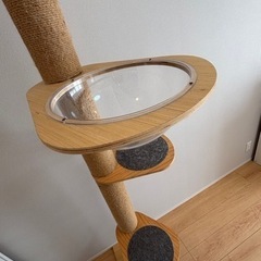 キャットタワー　RAKU 突っ張りの画像