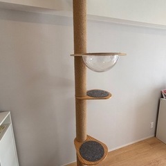 キャットタワー　RAKU 突っ張りの画像