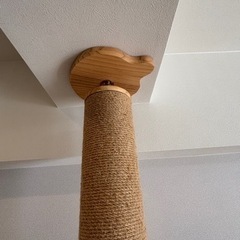 キャットタワー　RAKU 突っ張りの画像