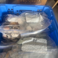 【大量出品】シーグラス 貝殻 シー陶器 まとめて 色々 等の画像