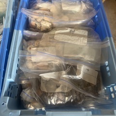 【大量出品】シーグラス 貝殻 シー陶器 まとめて 色々 等の画像