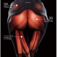 SIXPAD ボトムベルトの画像