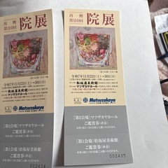 再興第110回 院展 鑑賞券２枚 名古屋松坂屋の画像