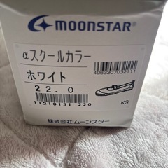 ムーンスター　上履き　22cmの画像