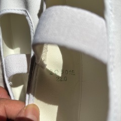 ムーンスター　上履き　22cmの画像