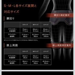 SIXPAD ボトムベルトの画像