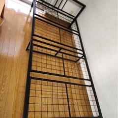 パイプベットの画像