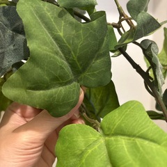 フェイクグリーン2本の画像