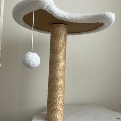 キャットタワー　月の形が可愛いの画像