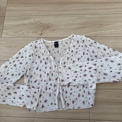 レディーストップスの画像