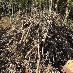 お譲　薪　丸太　枝　　条件付きの画像