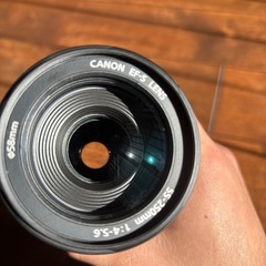 Canon EF-S 55-250mm F4-5.6 の画像