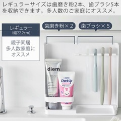 定価2,420円❗️TOWER山崎実業 目隠し歯ブラシ&チューブスタンドの画像