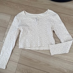 レディーストップスの画像