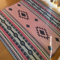 ネイティブ柄　御座の画像